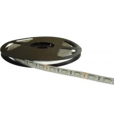 Banda Led 60X3528 4.8W Ip20 Rosie