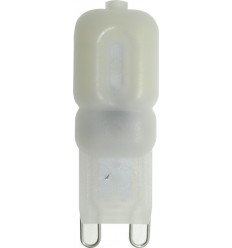Bec Led G9 2.5W Mat