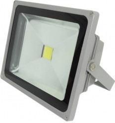 Proiector Led 30W Alb Rece