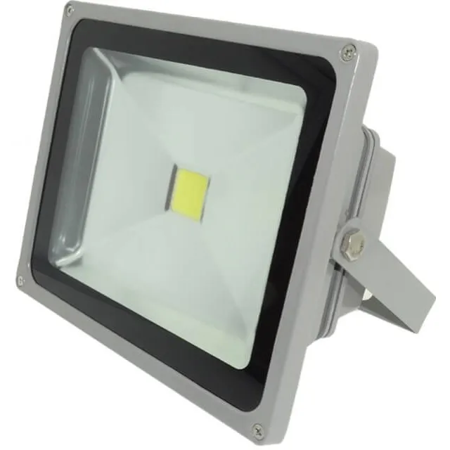 Proiector Led 30W Alb Rece - 1