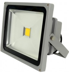 Proiector Led 30W Alb Cald