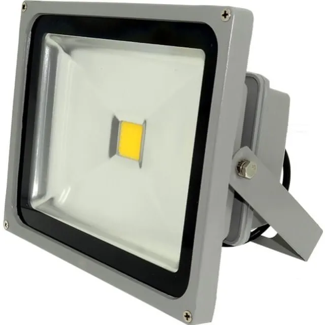 Proiector Led 30W Alb Cald  1