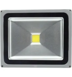 Proiector Led 30W Alb Cald