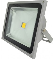 Proiector Led 50W Alb Cald