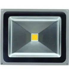 Proiector Led 50W Alb Cald