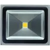 Proiector Led 50W Alb Cald - 2