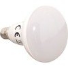 Bec Led E14 8W R50 Mat  2