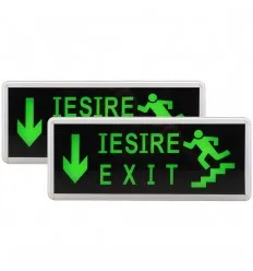 Lampa Iesire Exit Led Sageata Jos Trepte Scara - 2 Fete