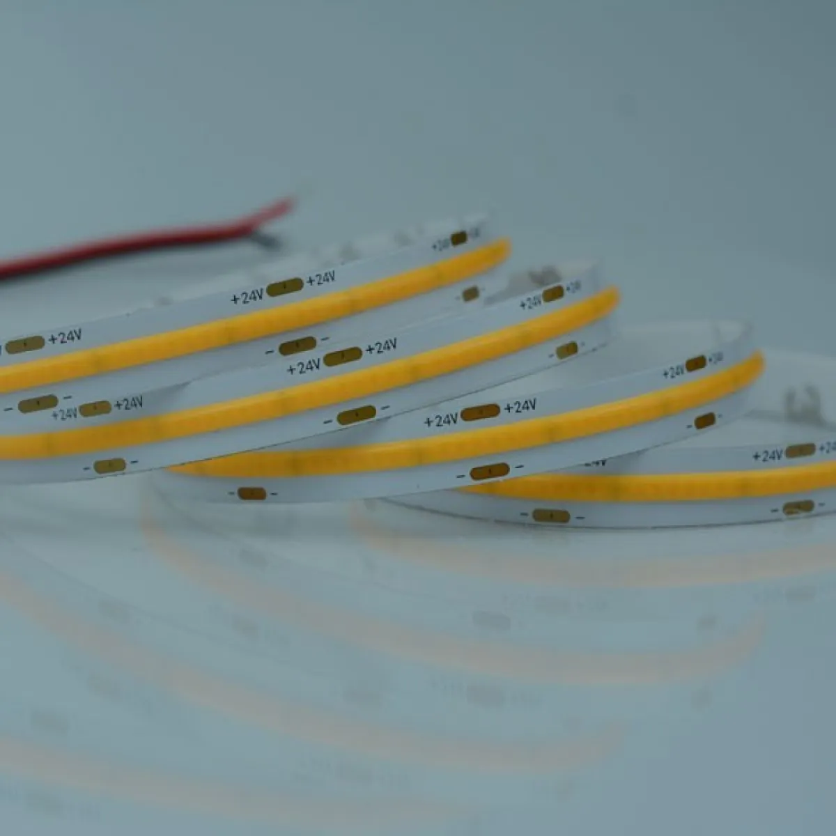 Banda LED COB 5M 16W 24V 6500K IP20 PRO  1