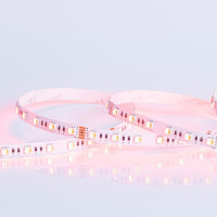 BANDA LED SMD 5M 16W 24V RGBWW 3000K 60L/M IP20 PRO