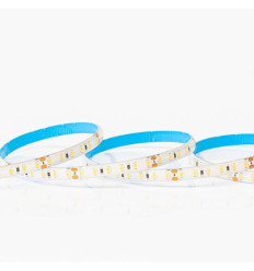 Banda LED SMD 5M 12W 12V 6500K IP54 PRO