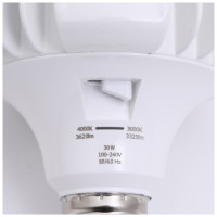 High power LED 30W E27 CCT  2