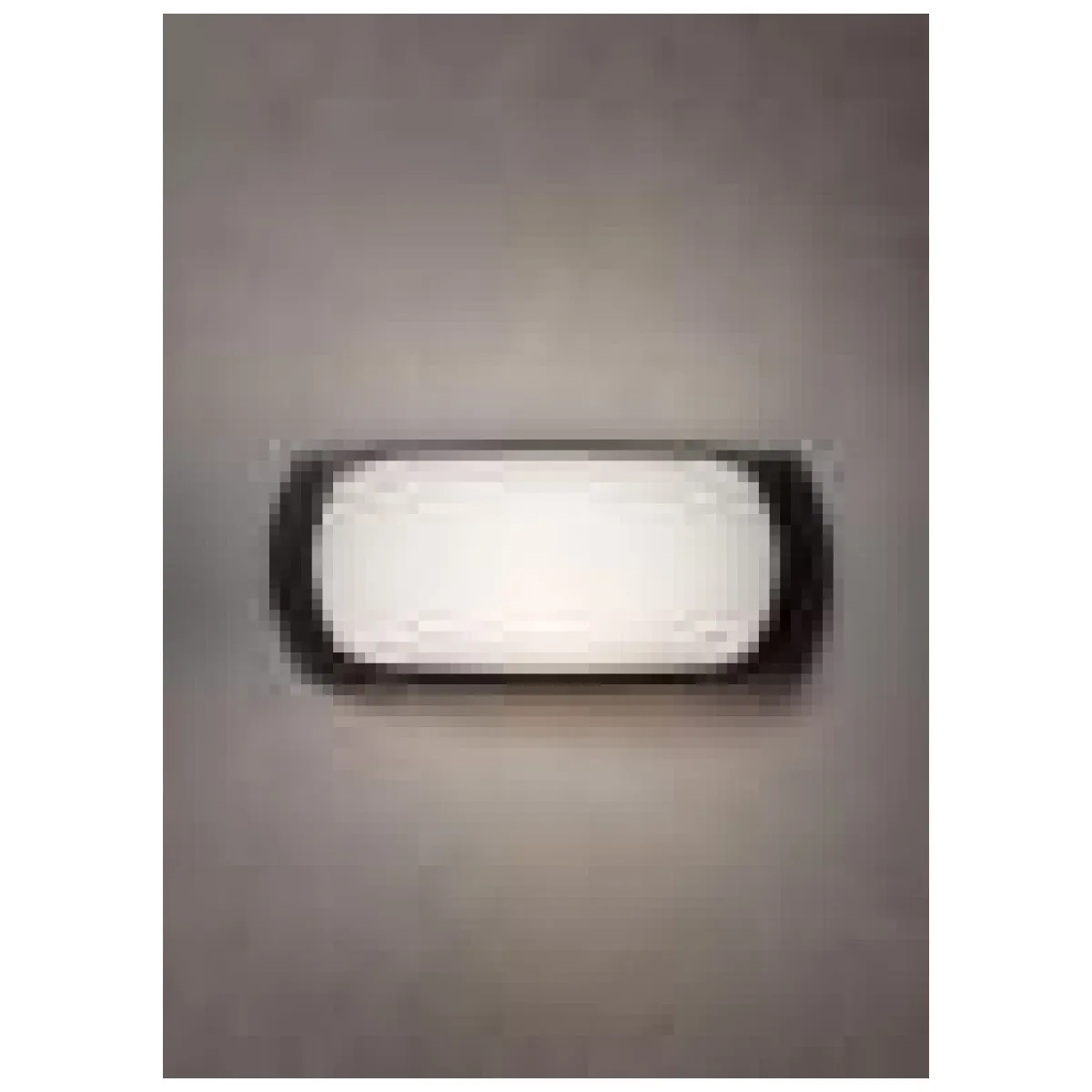 Aplica 1xE27 23W IP66 Neagra Francy  1