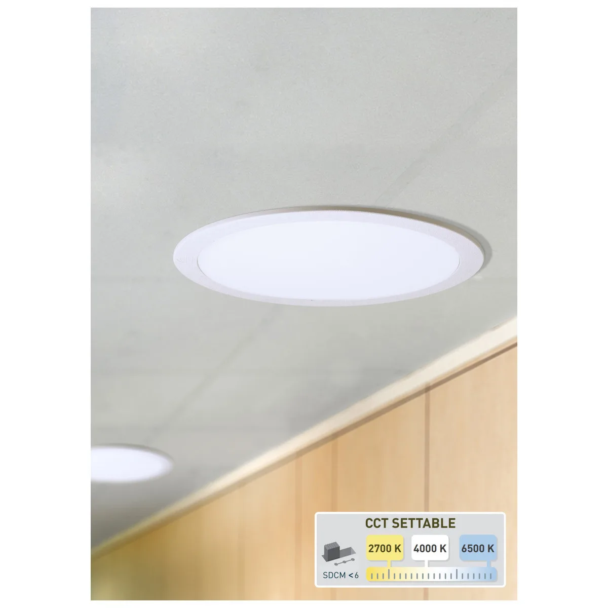 Spot Downlight LED IP65 10W CCT  1