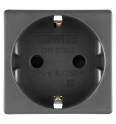 Priza Standard 2P+E Neagra 2 Module Gw21265