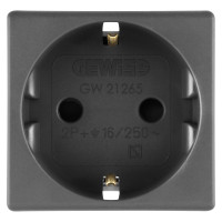 Priza Modulara Standard 2P+E, Gw21265, Negru - 2 Module  1