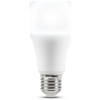 Bec LED A60 14W E27 6400K Alb Rece - Homelight