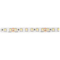 Banda LED 24V 120 LED/m 9.6W/m 6400K IP20 5m - Erste