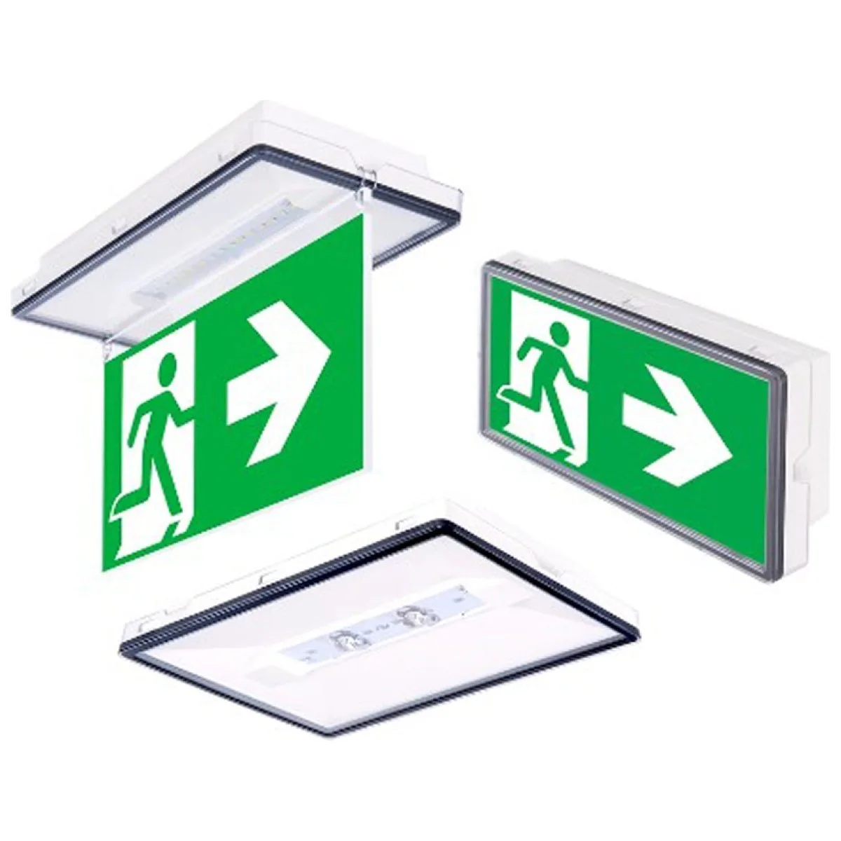Corp Emergenta LED VELLA 3H M/NM 4W IP65 Test Manual Intelight
