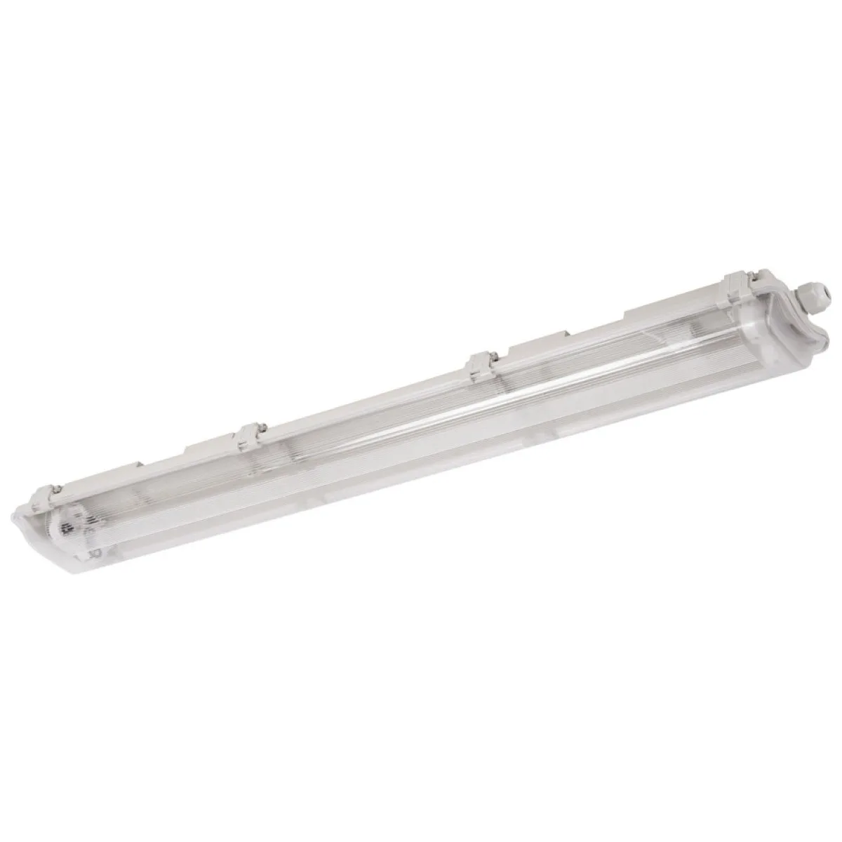 Corp Etans IP65 Neechipat 2x1500mm Dispersor Transparent Novelite