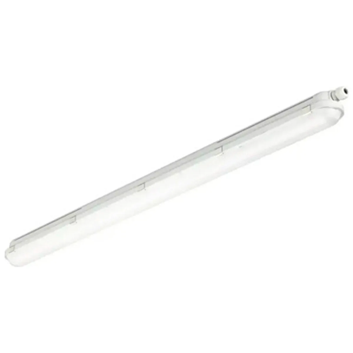 Corp Etans IP65 LED 36W 4000K 1200mm WT008C Philips Pila