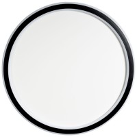 Plafoniera LED Frodo 35W CCT 3000-6000K 40cm IP20, alb-negru, Erste - imagine 6