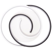 Plafoniera Snail LED 45W 3CCT 3000-6500K 42cm slim, alb-negru, Erste - imagine 5