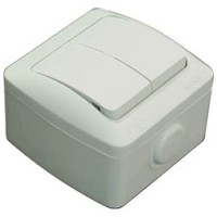 Comutator aplicat 10A IP54 gri, montaj PT, gama Eva
