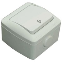 Intrerupator cap scara aplicat 10A IP54 gri Eva