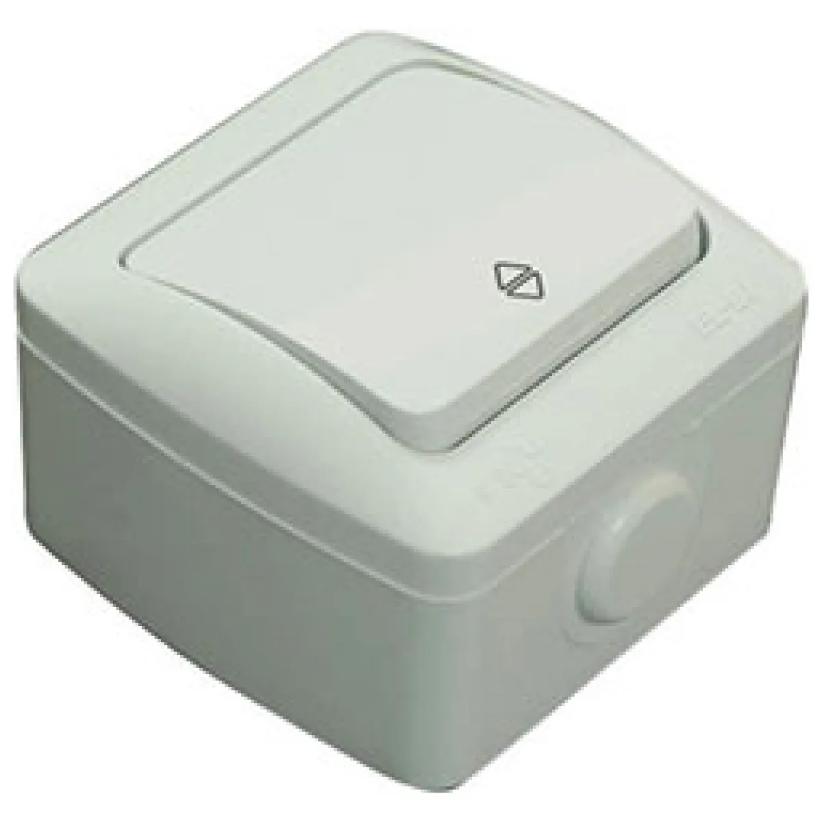 Intrerupator cap scara aplicat 10A IP54 gri Eva