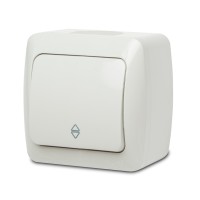 Intrerupator cap scara aplicat 10A IP54 gri Eva - vedere laterala