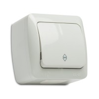 Intrerupator cap scara aplicat 10A IP54 gri Eva - ambalaj