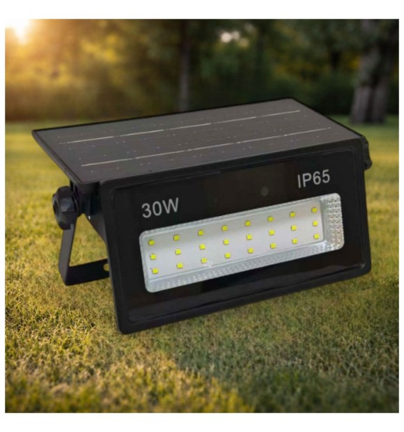 Proiector LED solar 30W 400lm 6500K IP65, panou monocristalin integrat