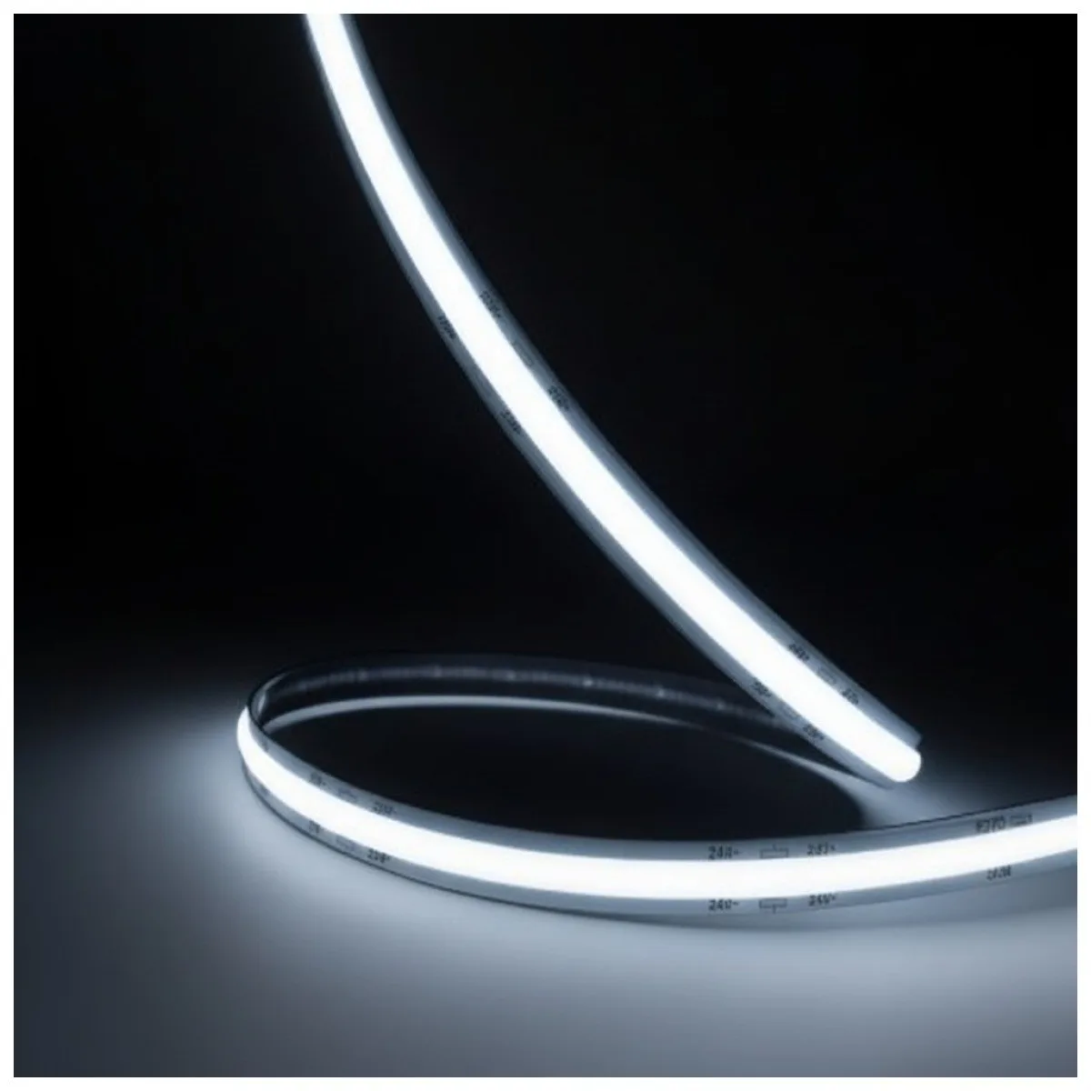 Banda LED FCOB 24V 10W/m 6500K Lumina Rece IP20 5m