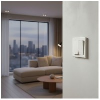 Intrerupator dublu candelabru, 250V, 10A, IP20, comanda 2 circuite - imagine 7